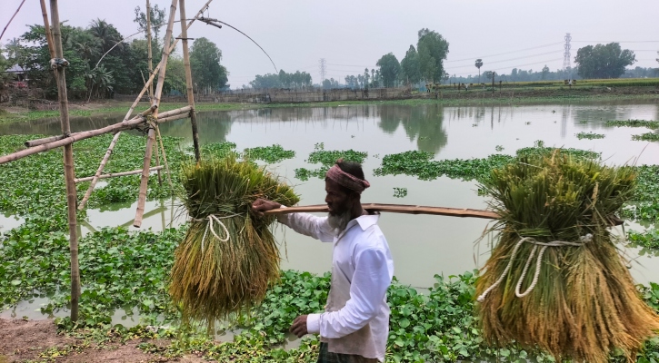 বগুড়ায় রামাইডাঙ্গা বিল দখলমুক্ত করার দাবি এলাকাবাসীর 
